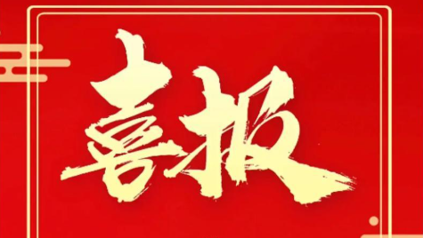 祝贺何湘宁教授荣获中国电源学会科技成就奖！